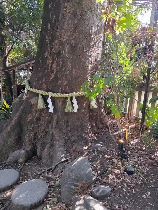 川越氷川神社の{uncategorized: "未分類", other: "その他", undefined: "問題あり", building: "その他建物", grave: "お墓", sacred_gate: "鳥居", guardian: "狛犬", statue: "像", buddha: "仏像", history: "歴史", nature: "自然", garden: "庭園", animal: "動物", pagoda: "塔", temizu: "手水舎", mountain_gate: "山門・神門", sanctuary: "本殿・本堂", subordinate: "末社・摂社", art: "芸術", scenery: "景色", jizo: "地蔵", ema: "絵馬", goshuin: "御朱印", omikuji: "おみくじ", items: "授与品その他", amulet: "お守り", goshuincho: "御朱印帳", eats: "食事", festival: "お祭り", votive_dance: "神楽", shichigosan: "七五三参", wedding: "結婚式", experience: "体験その他", initially: "初詣", around: "周辺", anti_infection: "感染症対策"}