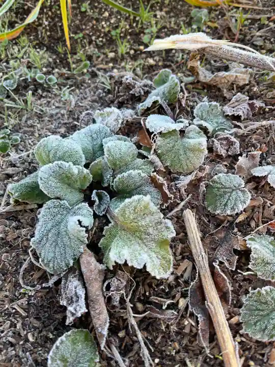 大鏑神社(福島県)