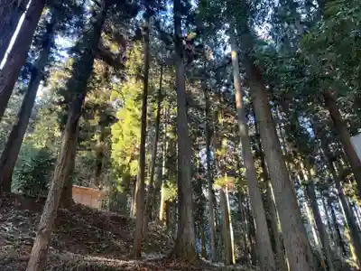 大宮温泉神社(栃木県)