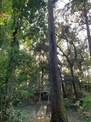 熊野神社(千葉県)