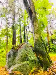 飯名神社の建物その他