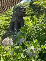 青龍山 吉祥寺の狛犬