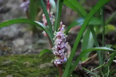 大六天麻王神社(福島県)