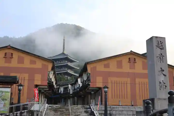 清大寺(越前大仏)(福井県)