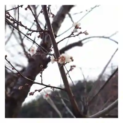 岐阜稲荷山本社(岐阜県)