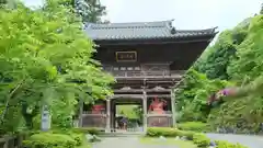 満願寺の山門