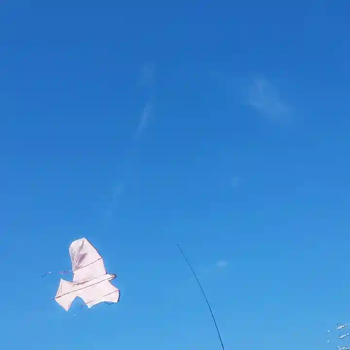 萩園神社の体験その他