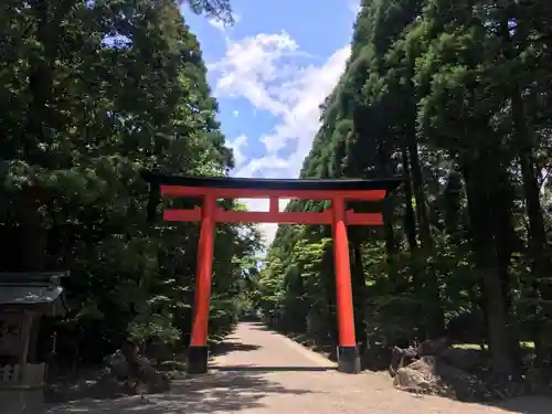 霧島神宮の鳥居