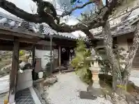 薬師院の{uncategorized: "未分類", other: "その他", undefined: "問題あり", building: "その他建物", grave: "お墓", sacred_gate: "鳥居", guardian: "狛犬", statue: "像", buddha: "仏像", history: "歴史", nature: "自然", garden: "庭園", animal: "動物", pagoda: "塔", temizu: "手水舎", mountain_gate: "山門・神門", sanctuary: "本殿・本堂", subordinate: "末社・摂社", art: "芸術", scenery: "景色", jizo: "地蔵", ema: "絵馬", goshuin: "御朱印", omikuji: "おみくじ", items: "授与品その他", amulet: "お守り", goshuincho: "御朱印帳", eats: "食事", festival: "お祭り", votive_dance: "神楽", shichigosan: "七五三参", wedding: "結婚式", experience: "体験その他", initially: "初詣", around: "周辺", anti_infection: "感染症対策"}