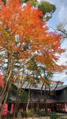 増上寺塔頭 三縁山 宝珠院の自然