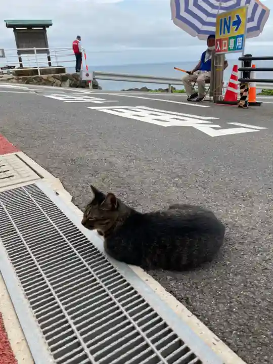 元乃隅神社の動物