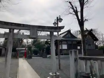 青柳稲荷神社の御朱印 2026年02月
