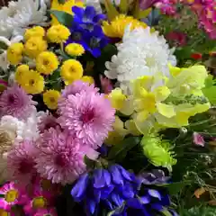 滑川神社 - 仕事と子どもの守り神の手水