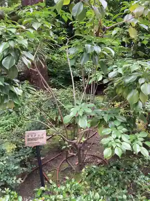 福徳神社（芽吹稲荷）(東京都)