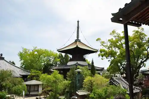 立江寺の建物その他