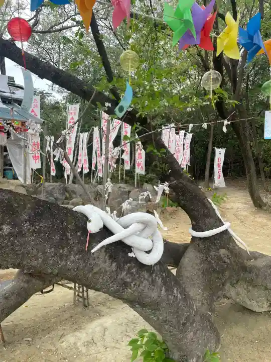 白美龍神社の{uncategorized: "未分類", other: "その他", undefined: "問題あり", building: "その他建物", grave: "お墓", sacred_gate: "鳥居", guardian: "狛犬", statue: "像", buddha: "仏像", history: "歴史", nature: "自然", garden: "庭園", animal: "動物", pagoda: "塔", temizu: "手水舎", mountain_gate: "山門・神門", sanctuary: "本殿・本堂", subordinate: "末社・摂社", art: "芸術", scenery: "景色", jizo: "地蔵", ema: "絵馬", goshuin: "御朱印", omikuji: "おみくじ", items: "授与品その他", amulet: "お守り", goshuincho: "御朱印帳", eats: "食事", festival: "お祭り", votive_dance: "神楽", shichigosan: "七五三参", wedding: "結婚式", experience: "体験その他", initially: "初詣", around: "周辺", anti_infection: "感染症対策"}