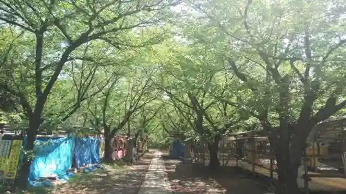 平野神社のその他建物