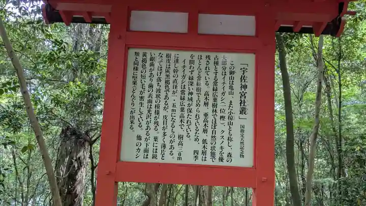 宇佐神宮の歴史