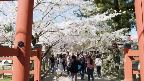 氷室神社の自然