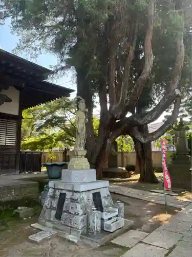 実蔵院(埼玉県)