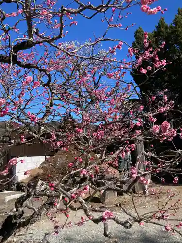 城前寺(神奈川県)
