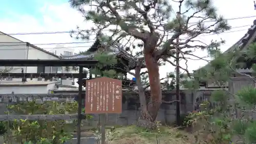 慈観寺(広島県)