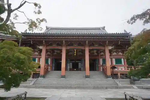  智積院の本殿・本堂