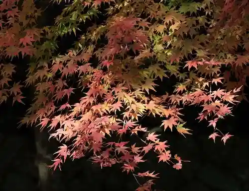 播州清水寺の自然