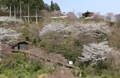 善峯寺(京都府)