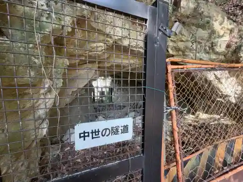 稱名寺（称名寺）の{uncategorized: "未分類", other: "その他", undefined: "問題あり", building: "その他建物", grave: "お墓", sacred_gate: "鳥居", guardian: "狛犬", statue: "像", buddha: "仏像", history: "歴史", nature: "自然", garden: "庭園", animal: "動物", pagoda: "塔", temizu: "手水舎", mountain_gate: "山門・神門", sanctuary: "本殿・本堂", subordinate: "末社・摂社", art: "芸術", scenery: "景色", jizo: "地蔵", ema: "絵馬", goshuin: "御朱印", omikuji: "おみくじ", items: "授与品その他", amulet: "お守り", goshuincho: "御朱印帳", eats: "食事", festival: "お祭り", votive_dance: "神楽", shichigosan: "七五三参", wedding: "結婚式", experience: "体験その他", initially: "初詣", around: "周辺", anti_infection: "感染症対策"}