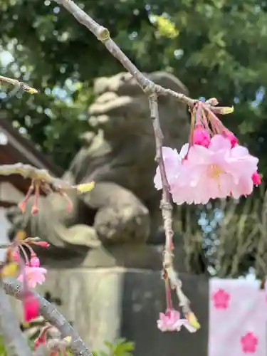 多摩川浅間神社の自然