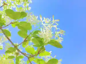 諫早神社(九州総守護 四面宮)(長崎県)(2026年05月02日(土) 09時44分05秒投稿)