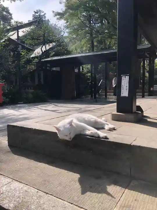 愛宕神社(東京都)