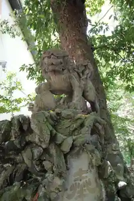 赤坂氷川神社の狛犬
