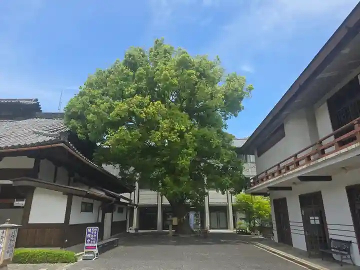 円満院門跡(滋賀県)