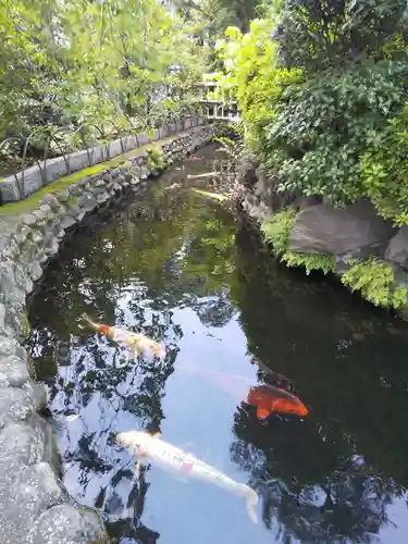 天祖諏訪神社の庭園