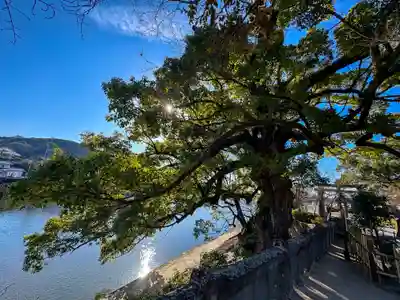 與止日女神社(佐賀県)
