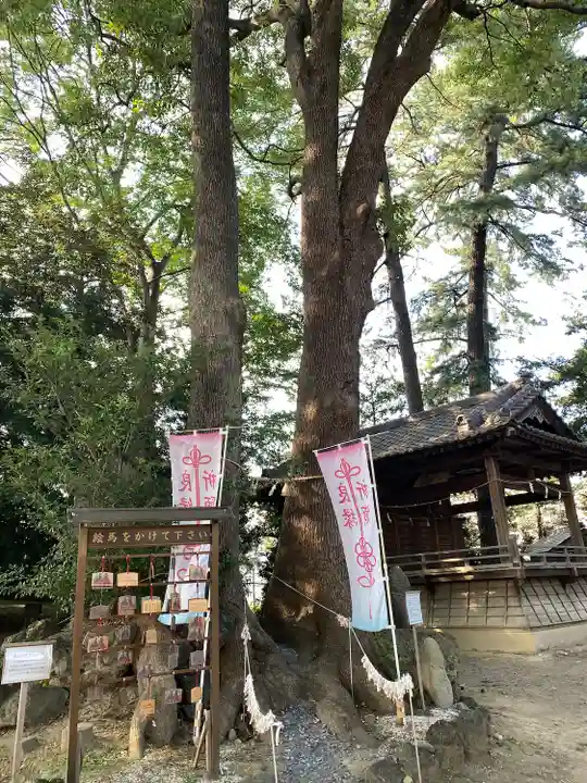 開運招福 飯玉神社(群馬県)