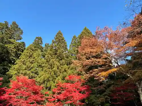 花園神社の自然