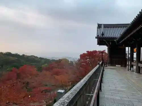 清水寺の景色