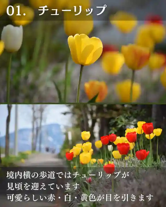 宝光寺(北海道)