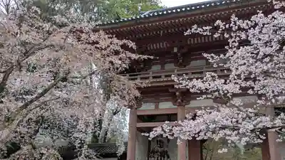 醍醐寺(京都府)