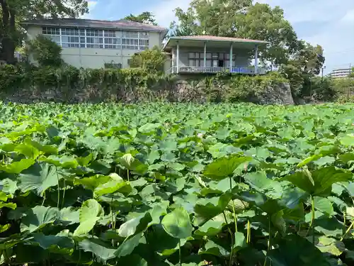 報徳二宮神社(神奈川県)