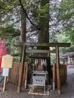 椿大神社(三重県)