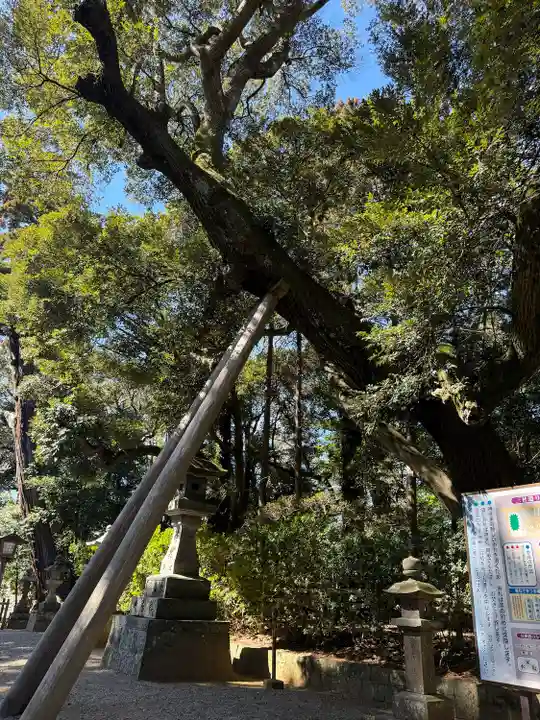 鹿島神宮(茨城県)