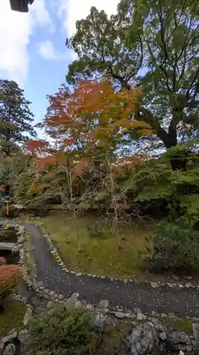 十輪寺(京都府)