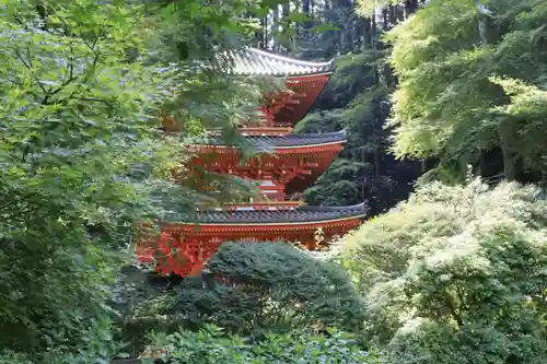 岩船寺(京都府)