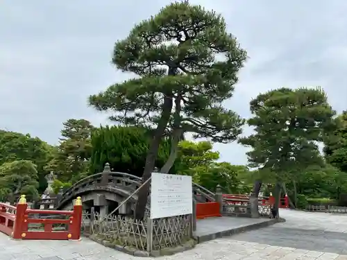 鶴岡八幡宮(神奈川県)