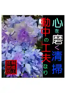 耕田院(山形県)(2024年02月26日(月) 05時03分33秒投稿)