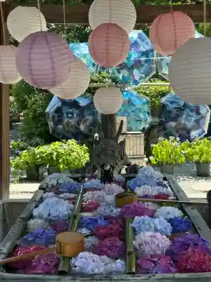 柳谷観音　楊谷寺(京都府)